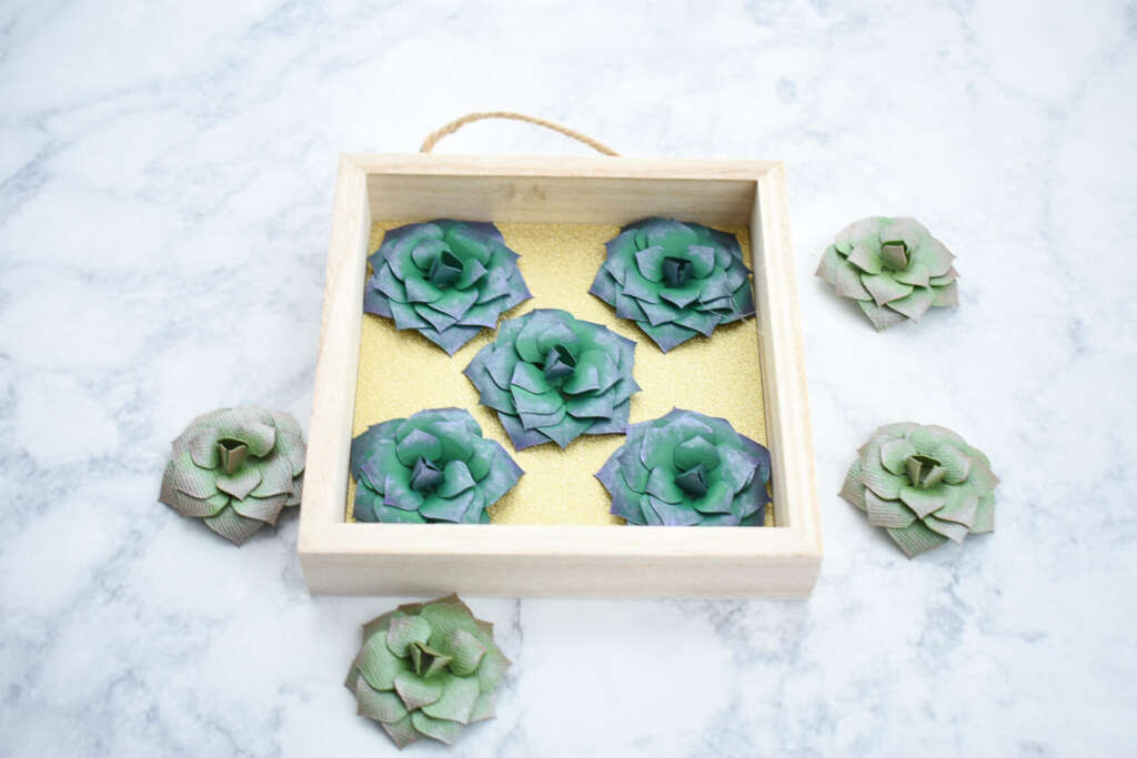 Paper Succulent Shadow Box