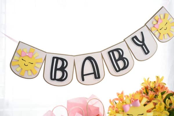 Little Sunshine Collection: Banner